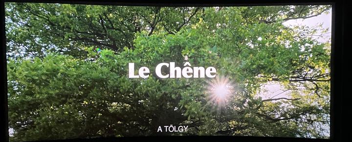 A tlgy