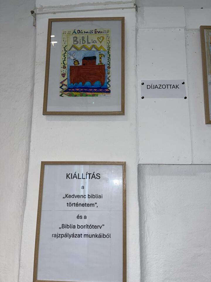 Bibliai rajzplyzat